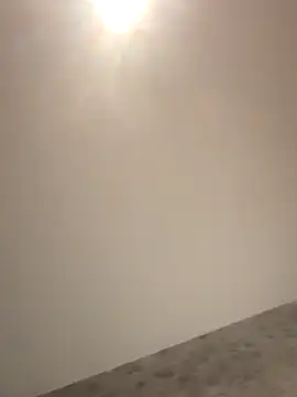 PayForThePaddy online show from 5, 11, 2025