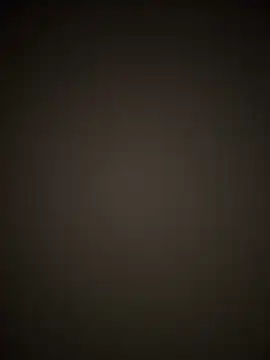 PayForThePaddy online show from 17, 11, 2025