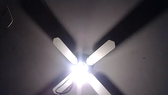 Snapshot of BiglovelyXXL chatting on 23, 11, 2025 BiglovelyXXL online show from 23, 11, 2025