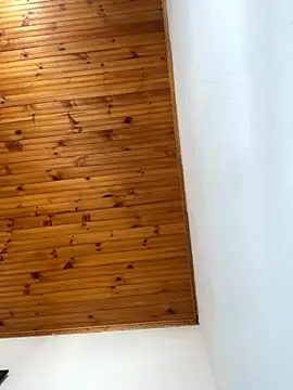 coupledesire18 online show from 15, 11, 2025