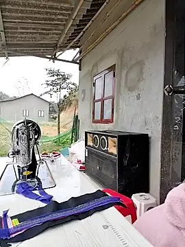 Tin tanny online show from 3, 2, 2026