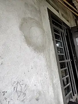 Tin tanny online show from 21, 2, 2026