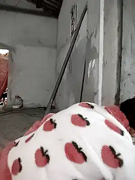 Tin tanny online show from 15, 1, 2026