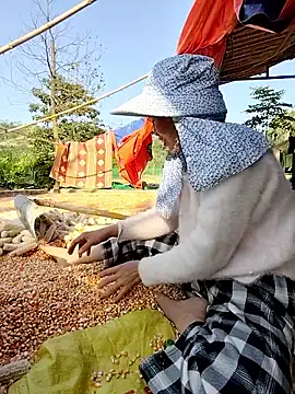 Tin tanny online show from 26, 11, 2025