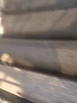 Snapshot of Bangladeshi_Big_male chatting on 29, 9, 2025 Bangladeshi Big male online show from 29, 9, 2025