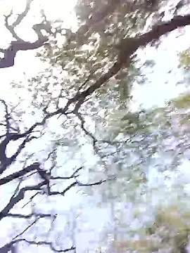 Hot rachnasexy online show from 12, 4, 2026