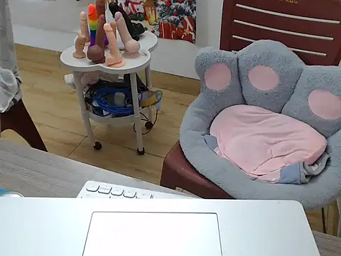 Funnygirl 9x online show from 29, 11, 2025