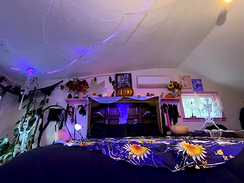 kinkycanner online show from 6, 11, 2025