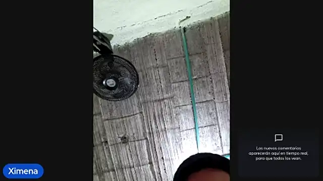 Cat Hot Party online show from 4, 11, 2025