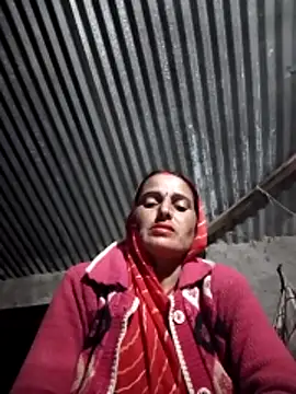 Jalebi bay online show from 11, 11, 2025