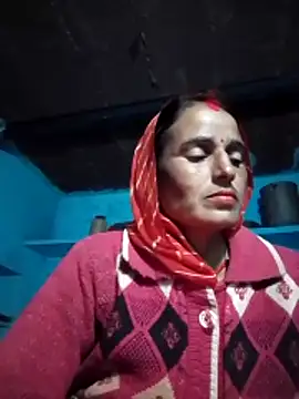 Jalebi bay online show from 29, 11, 2025