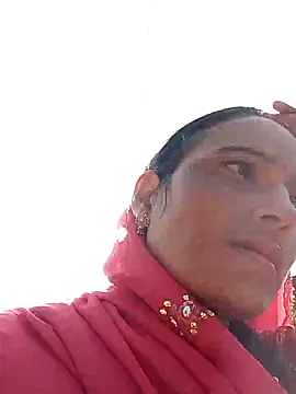 Jalebi bay online show from 28, 11, 2025