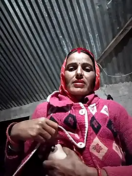 Jalebi bay online show from 20, 11, 2025