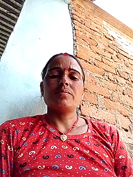 Jalebi bay online show from 24, 9, 2025