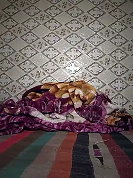 Aidakhan1212 online show from 7, 3, 2026