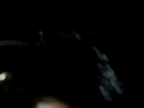 LUCKY cut online show from 4, 11, 2025