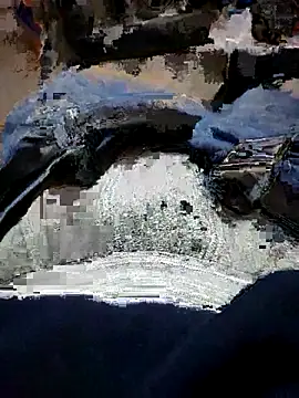 ELPrecoxxxito20 online show from 1, 3, 2026