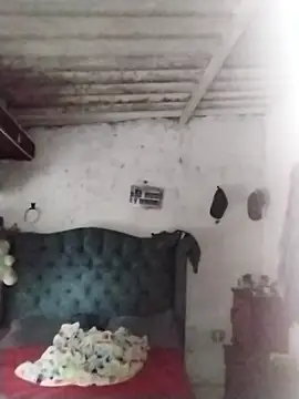  tetas 92 online show from 15, 1, 2026