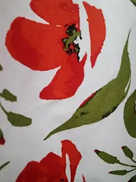  tetas 92 online show from 18, 2, 2026