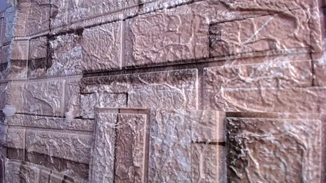 Bicky 24 online show from 2, 3, 2026