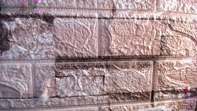 Bicky 24 online show from 6, 3, 2026