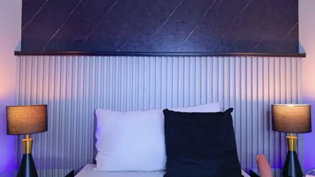 Meganreed  online show from 15, 6, 2026