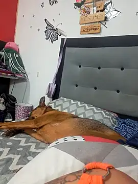 anythompsom online show from 11, 11, 2025