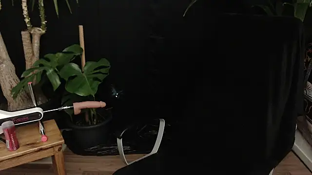 lola skyxh online show from 10, 11, 2025