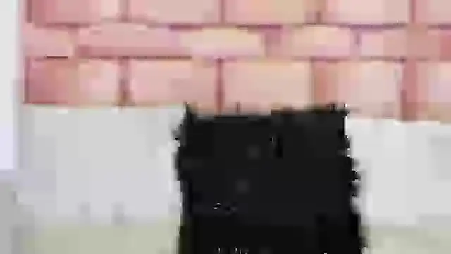 sharik noa online show from 24, 10, 2025