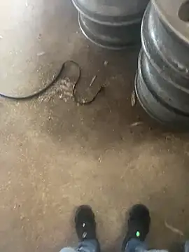 Chico031289 online show from 12, 2, 2026