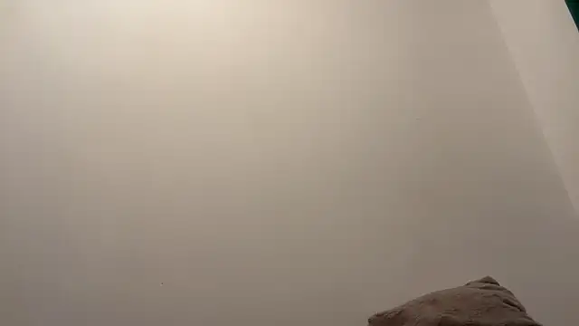 twinkydave online show from 6, 3, 2026