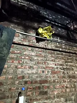 siki-00 online show from 16, 12, 2025