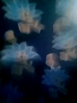 Snapshot of your_favourite_bhabhi chatting on 2, 11, 2025 your favourite bhabhi online show from 2, 11, 2025