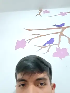 Snapshot of DavidVergagigante420 chatting on 6, 11, 2025 DavidVergagigante420 online show from 6, 11, 2025