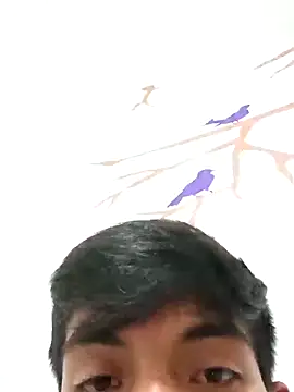 Snapshot of DavidVergagigante420 chatting on 2, 12, 2025 DavidVergagigante420 online show from 2, 12, 2025