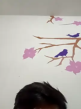 DavidVergagigante420 online show from 2, 2, 2026