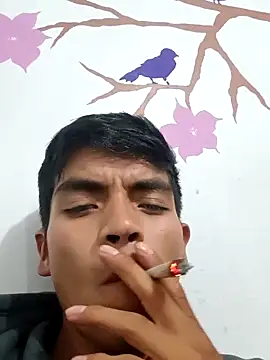 Snapshot of DavidVergagigante420 chatting on 12, 9, 2025 DavidVergagigante420 online show from 12, 9, 2025