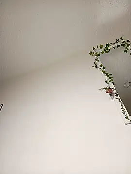 MilaFyre online show from 4, 12, 2025