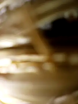 panchosativo online show from 31, 10, 2025