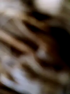 panchosativo online show from 25, 10, 2025