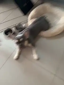 Snapshot of KstnSrg19 chatting on 30, 11, 2025 KstnSrg19 online show from 30, 11, 2025