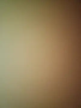 NiceBadgera online show from 16, 9, 2025