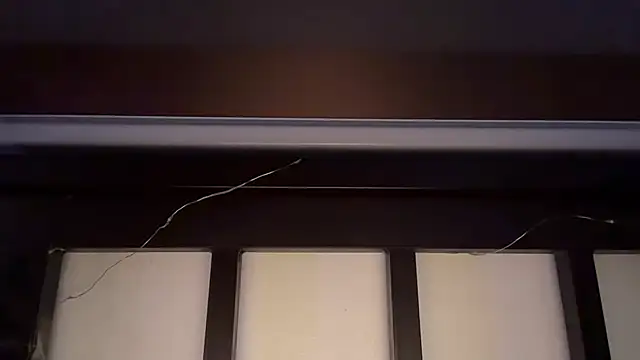 puchienjoyer online show from 20, 4, 2026