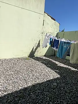 cat9269 online show from 11, 11, 2025