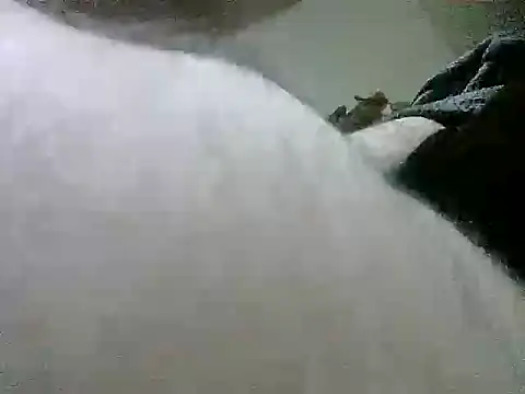 LuispingonX69 online show from 14, 5, 2026