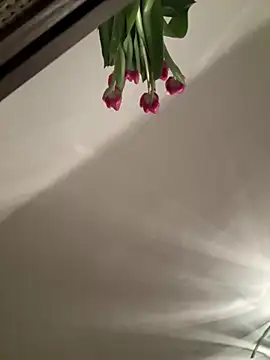 SophiiaStarr online show from 7, 2, 2026