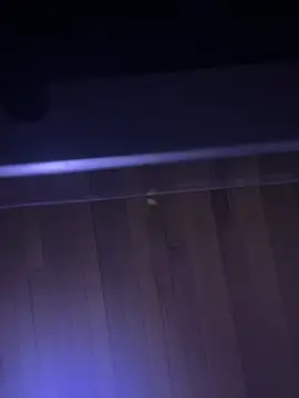 XBODTRIIPX online show from 7, 4, 2026