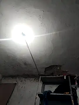 Ferxxxo1503 online show from 26, 11, 2025