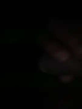 Snapshot of Flash356 chatting on 24, 2, 2026 Flash356 online show from 24, 2, 2026