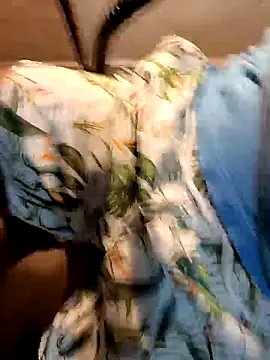 Gallo001 online show from 16, 12, 2025